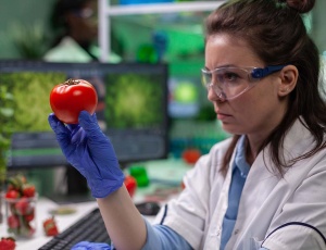 Фітохімікати: важливі рослинні сполуки