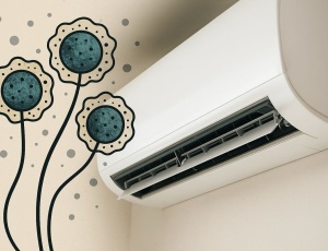 Цвіль у кондиціонері: чим загрожує і як її позбутися