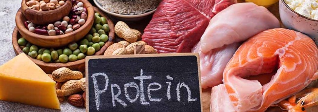 Білок: все, що потрібно знати