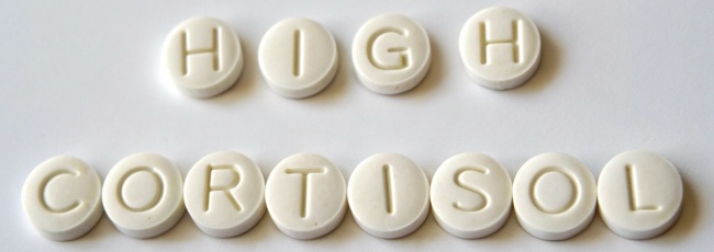 Высокий уровень кортизола: что скрывает гормон стресса