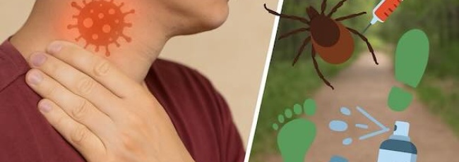 Клещевой энцефалит и как от него защититься