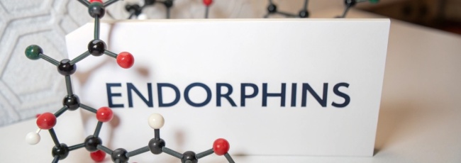 Эндорфины: что нужно знать об этом гормоне