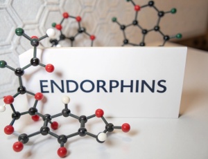Ендорфіни: що потрібно знати про цей гормон