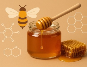 Мед: свойства, польза и потенциальные риски