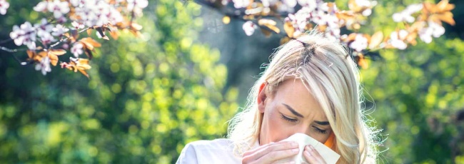 Как справиться с сезонной аллергией
