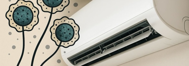 Плесень в кондиционере: чем грозит и как от нее избавиться
