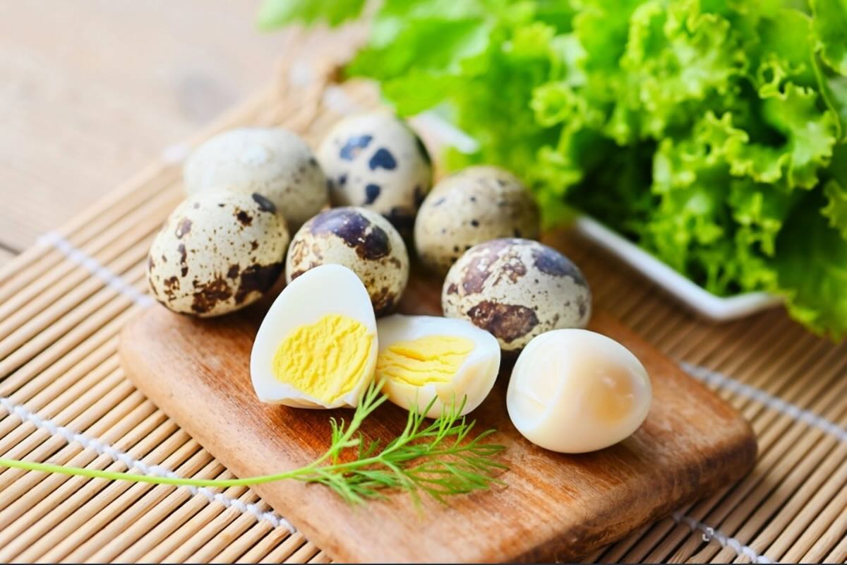 Перепелині яйця: корисне доповнення раціону