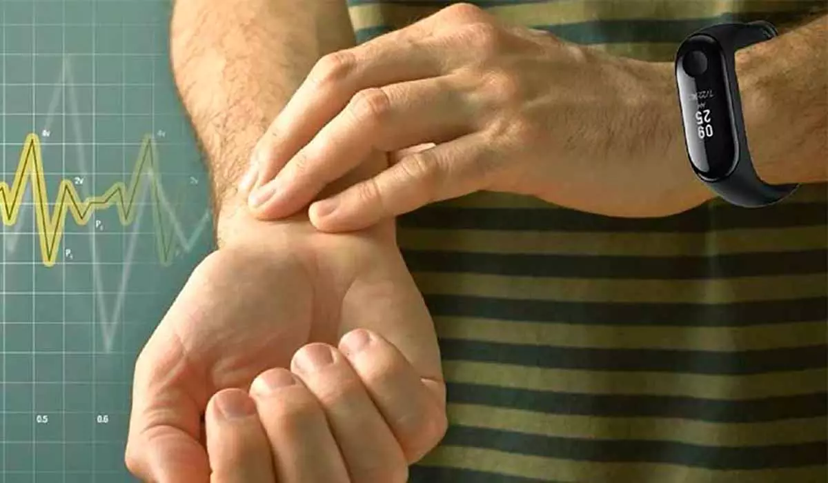 Частота пульсу під час тренувань