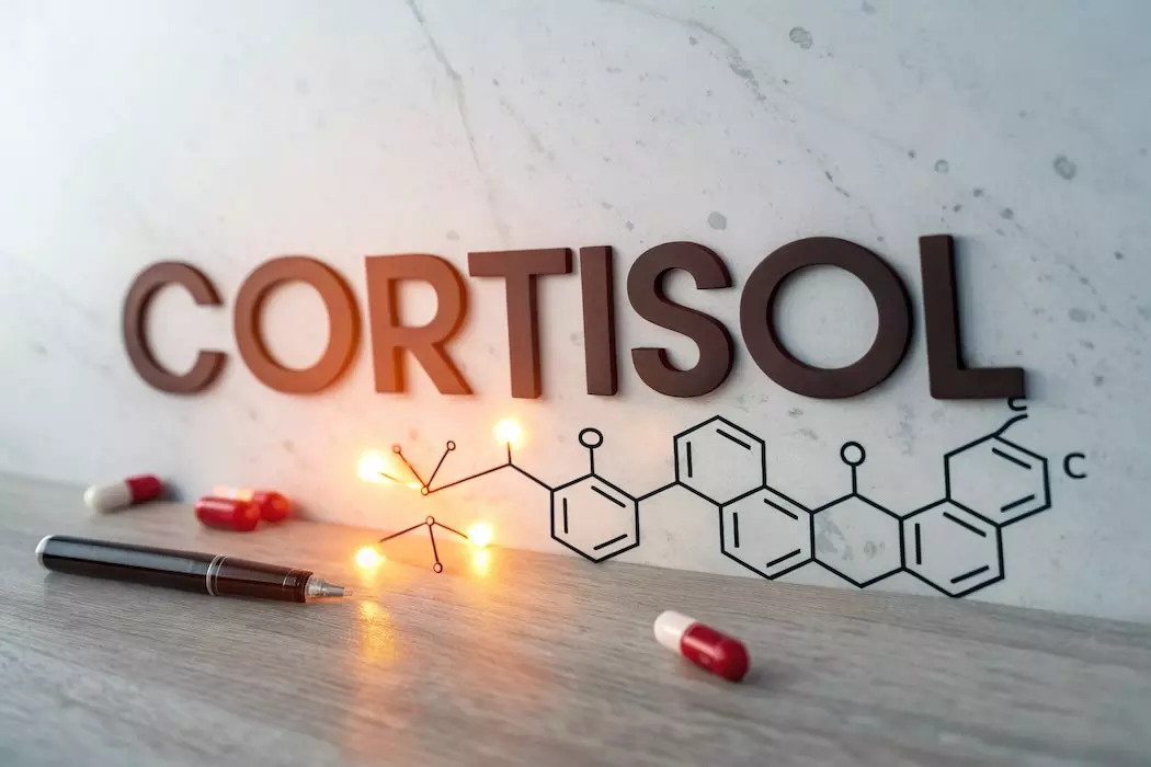 Кортизол: гормон стресу